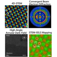 客製化穿透式電子顯微鏡分析圖